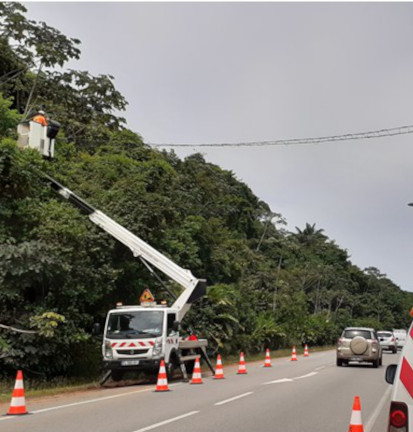 Continuité écologique : le pont de singes